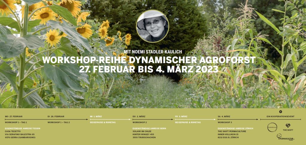 Flyer Workshop-Reihe Dynamischer Agroforst Seite 1